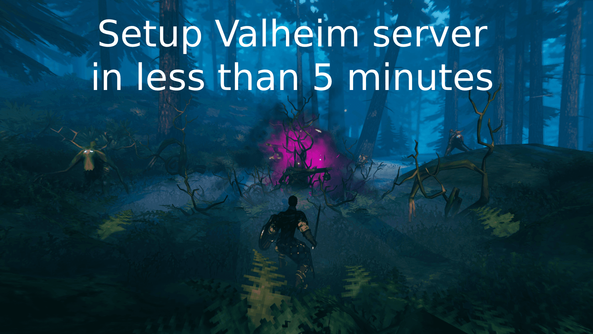 Setup a Valheim private server on a VPS in less than 5 minutes